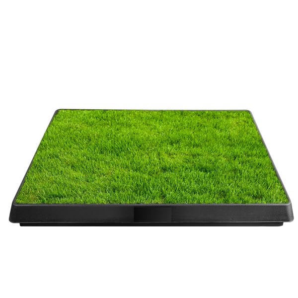 Indoor Dog Potty Training Pad with Removable Waste Tray, Artificial Turf, 25"×20" B745