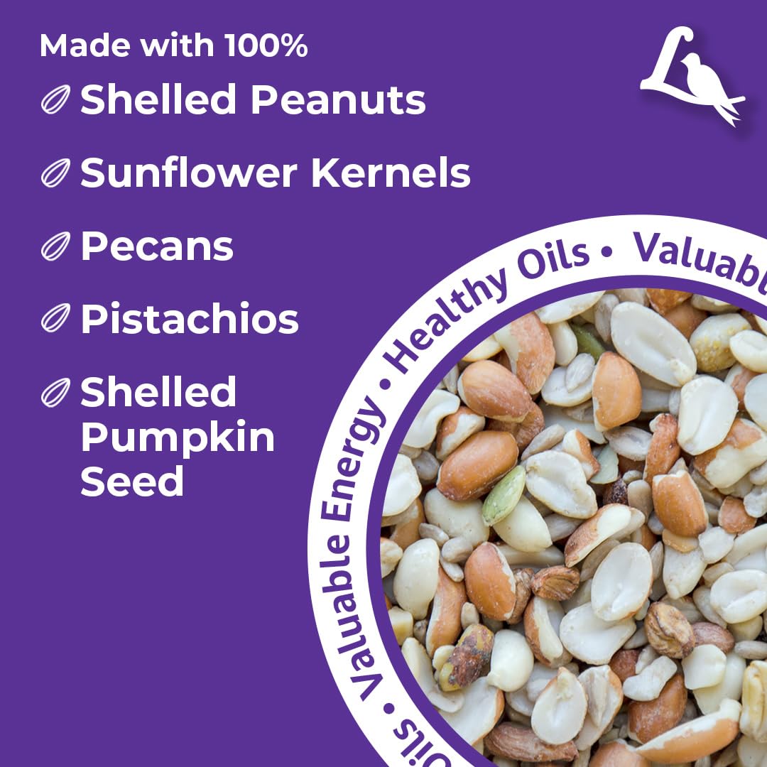 Wild Bird Seed, 20 lb Bag Q119