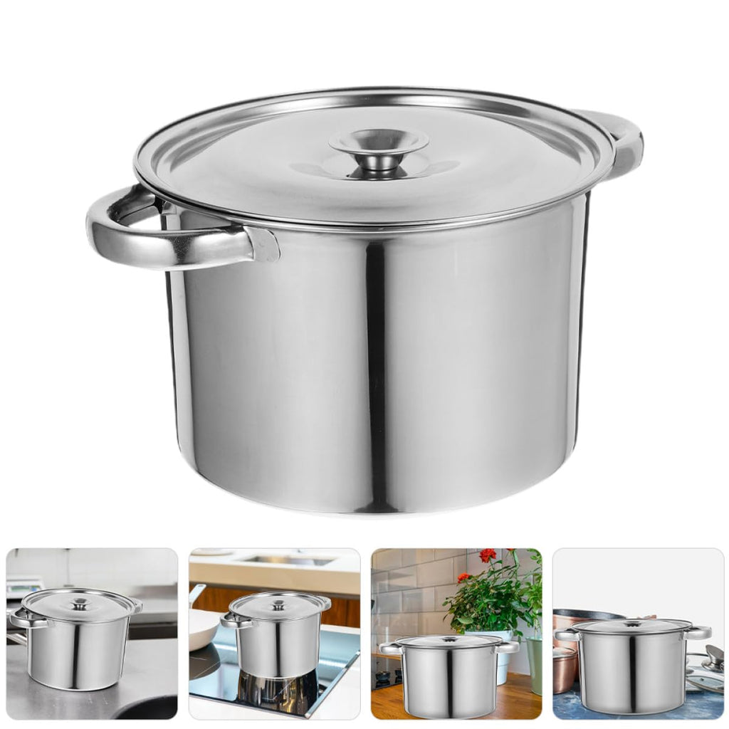Stainless Steel Double Handle Stock Pot with Lid M968990
