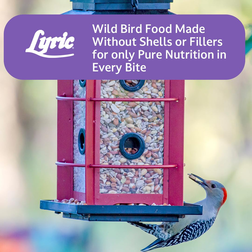 Wild Bird Seed, 20 lb Bag Q119