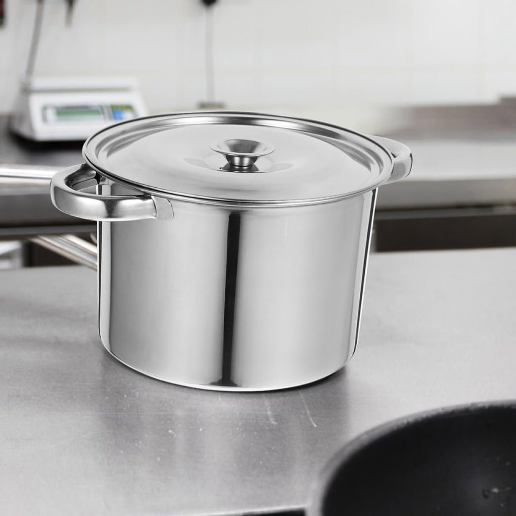 Stainless Steel Double Handle Stock Pot with Lid M968990
