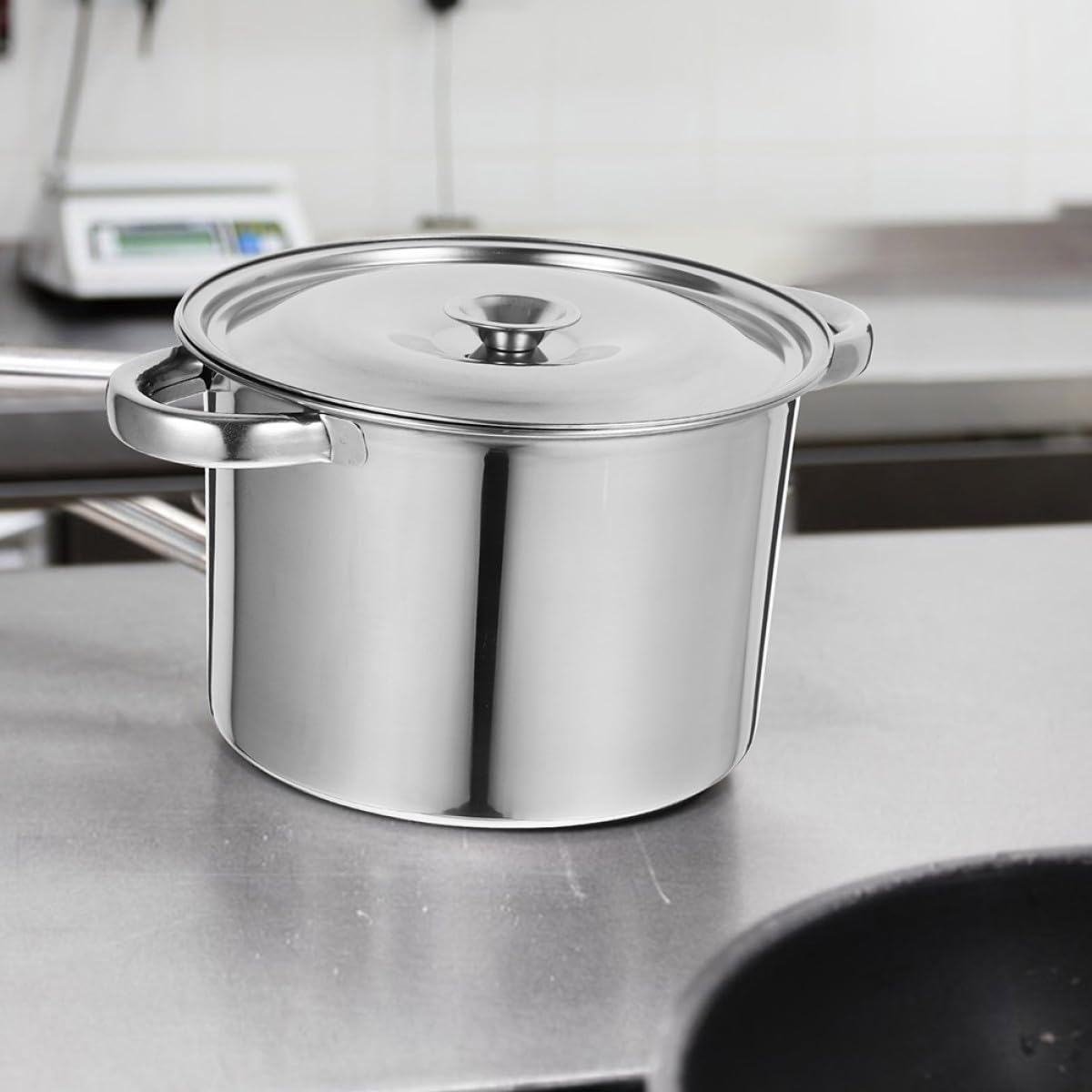 Stainless Steel Double Handle Stock Pot with Lid M968990
