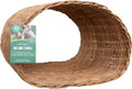 Willow Tunnel R443033