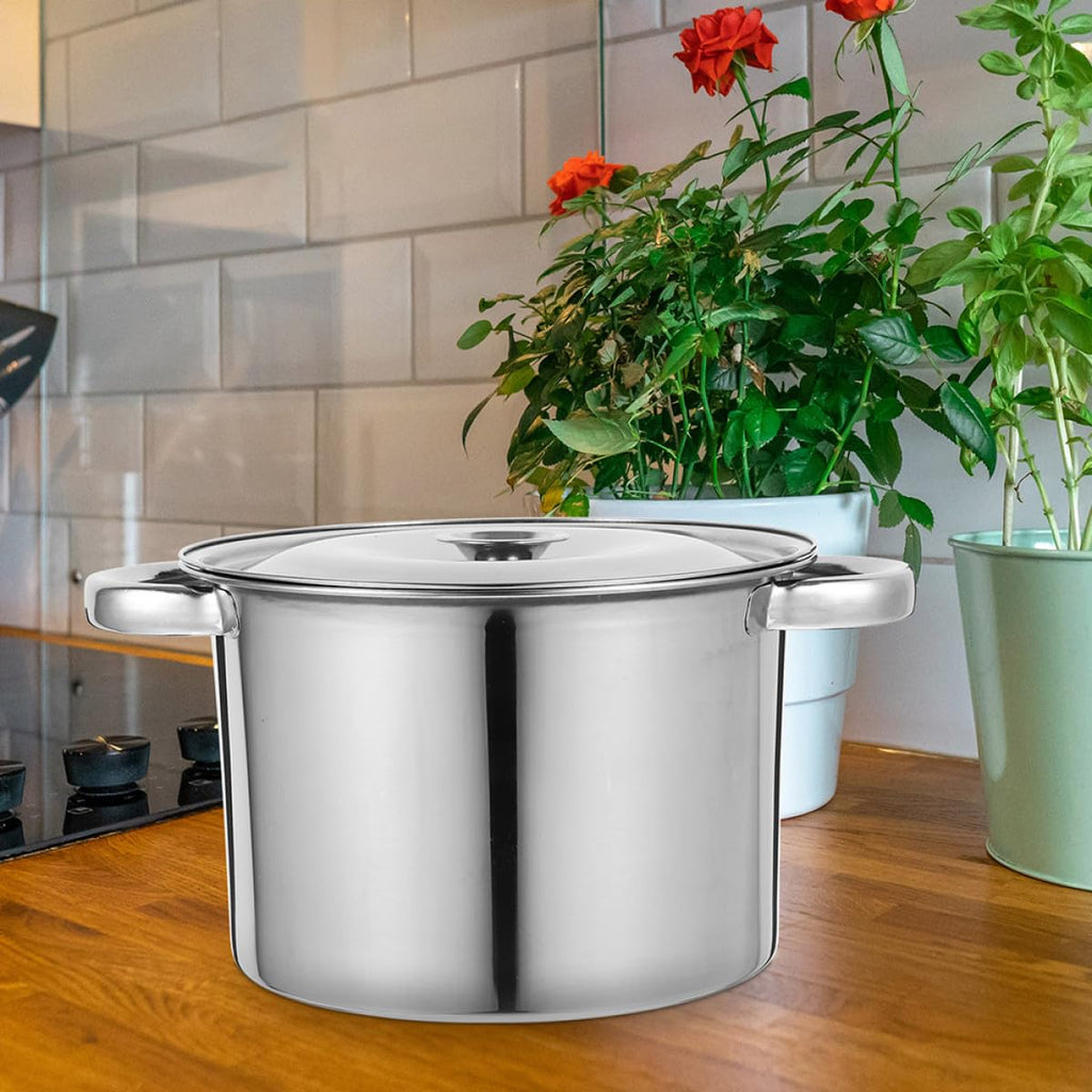 Stainless Steel Double Handle Stock Pot with Lid M968990