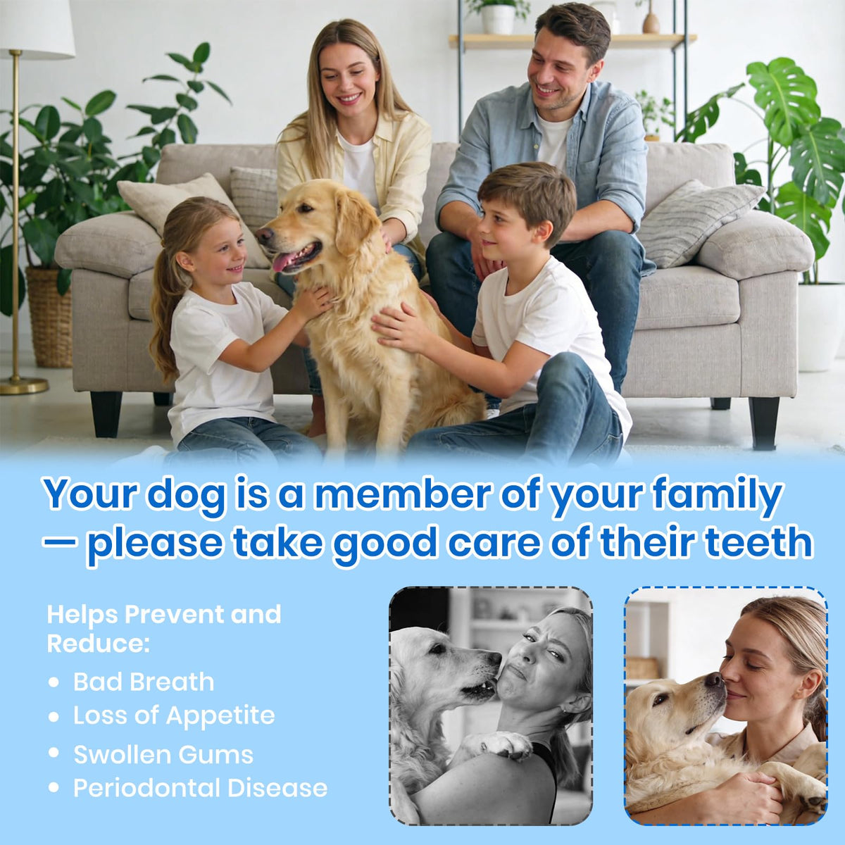 Dog Plaque Remover for Teeth with UV Sanitizing Chamber X92736