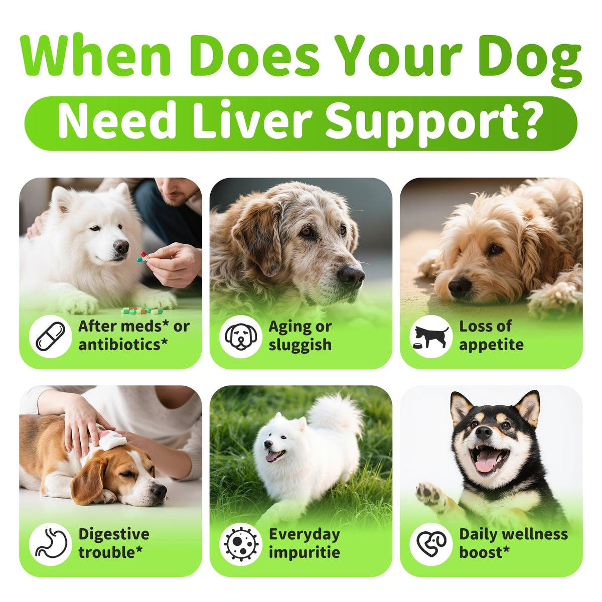 Dog Liver Support Chews with Milk Thistle Z257424