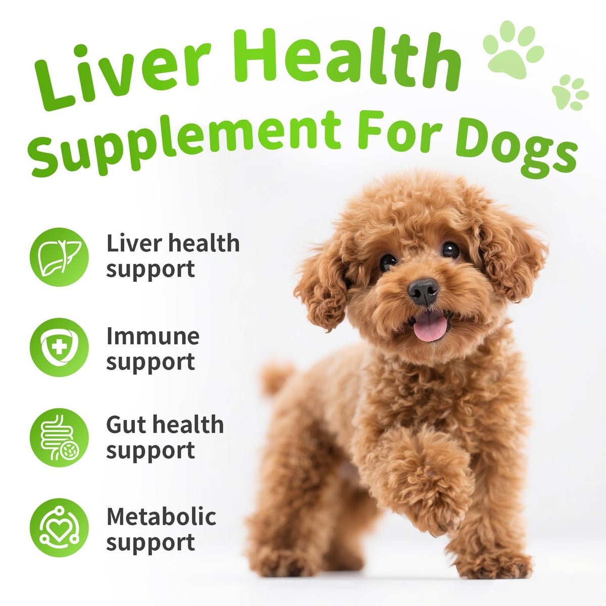 Dog Liver Support Chews with Milk Thistle Z257424