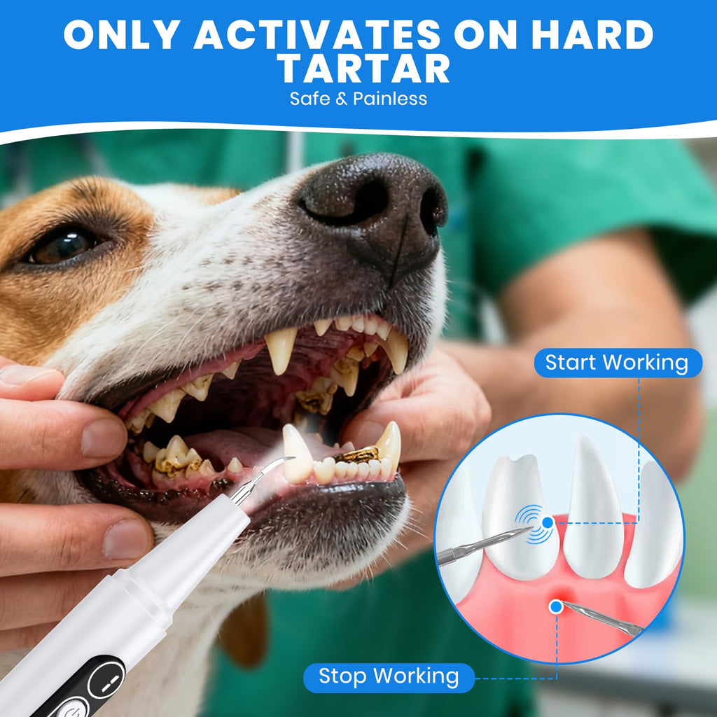 Dog Plaque Remover for Teeth with UV Sanitizing Chamber X92736
