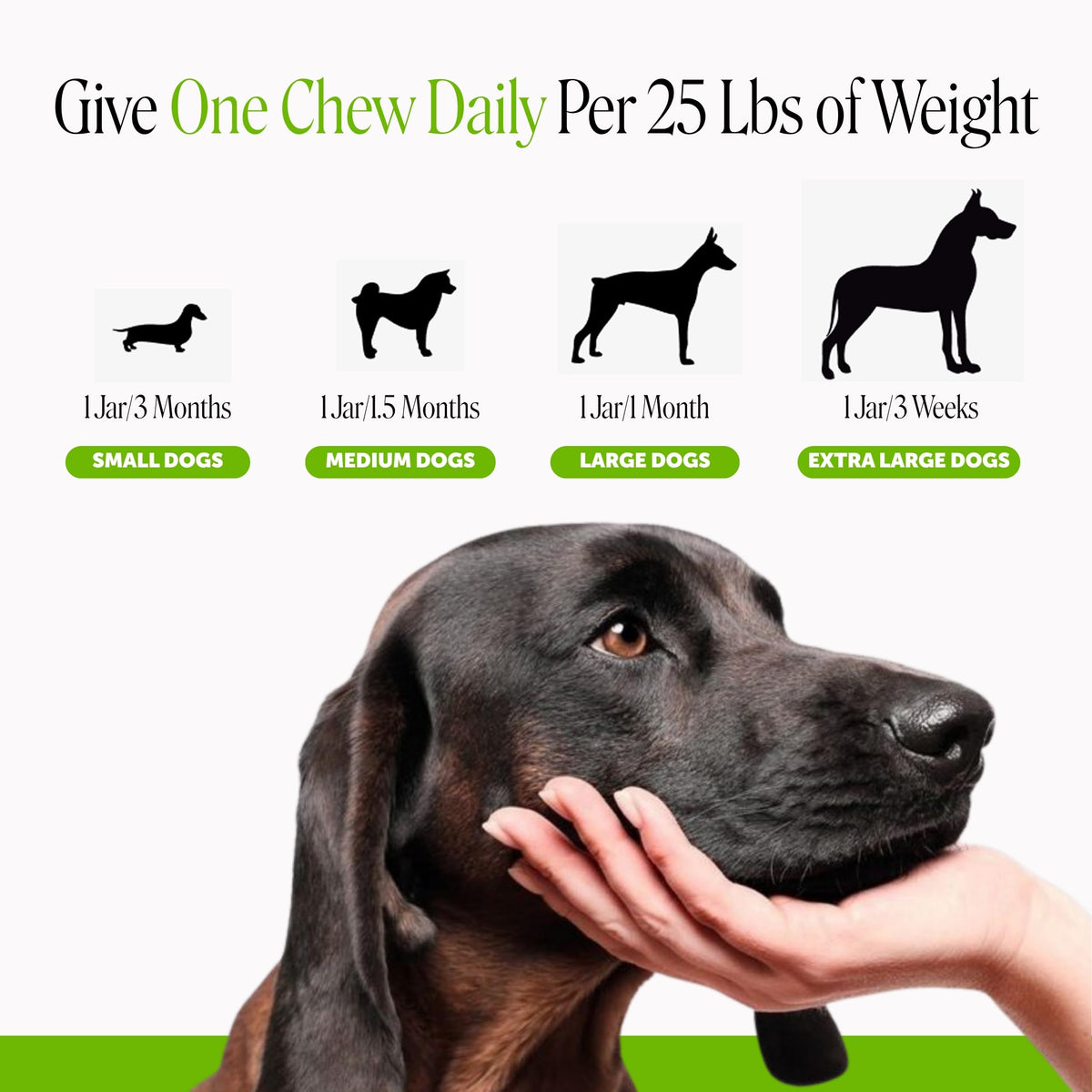 90 Ct Bacon Cranberry Supplement for Dogs L168026