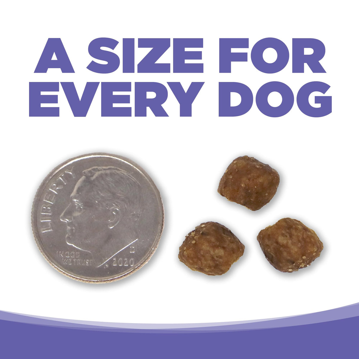 Small & Medium Breed Puppy Dry Dog Food, 4 lb V15330