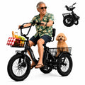 Electric Tricycle Bike 1200W Folding 3 Wheel Bicycle M624