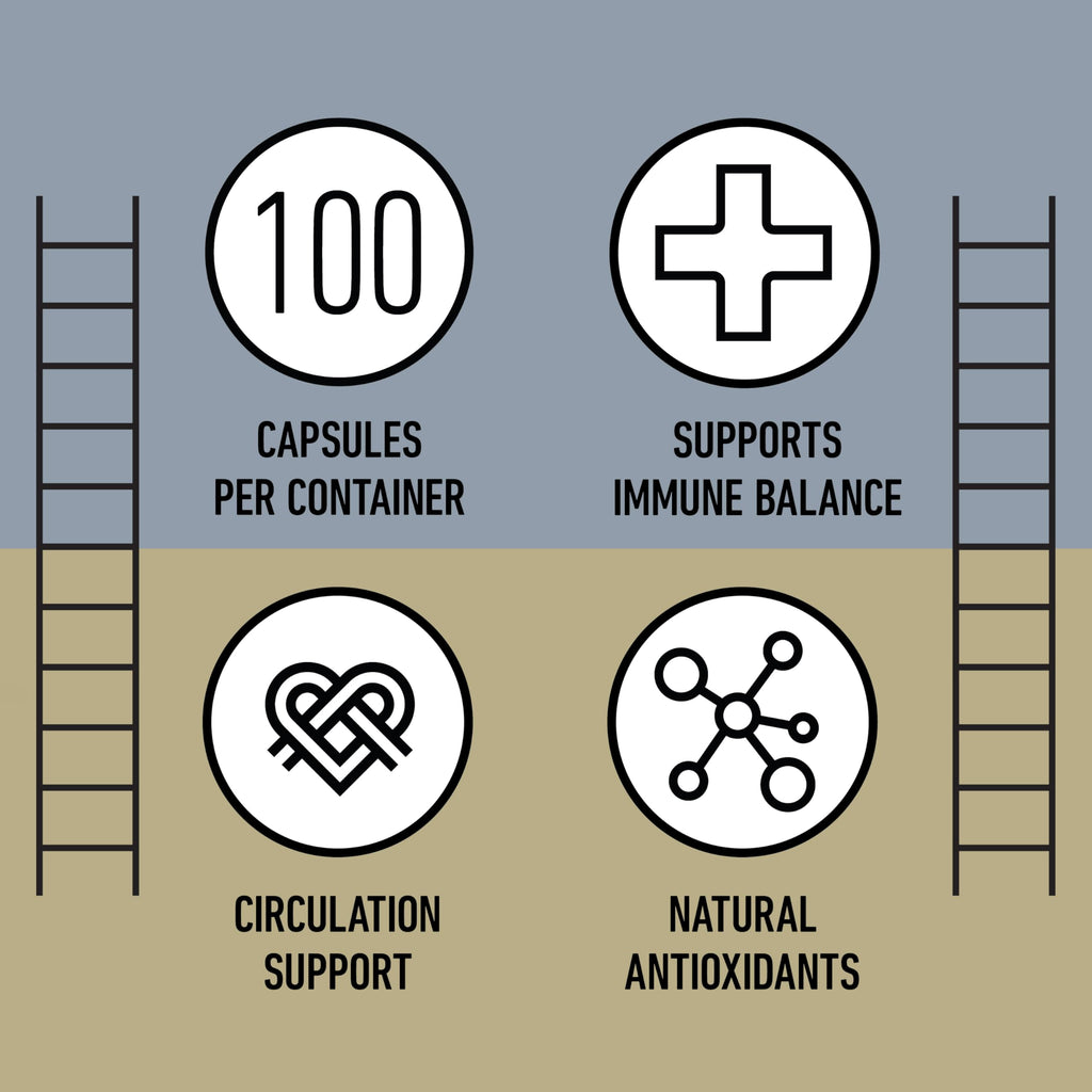Organic Garlic Capsules 520mg D794