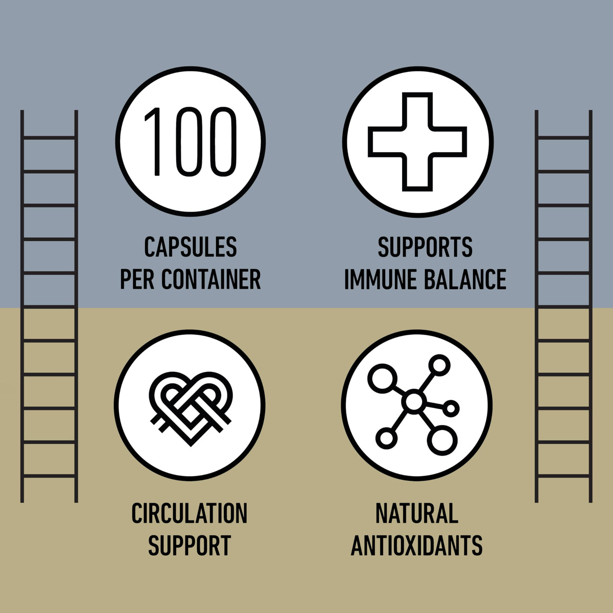 Organic Garlic Capsules 520mg D794