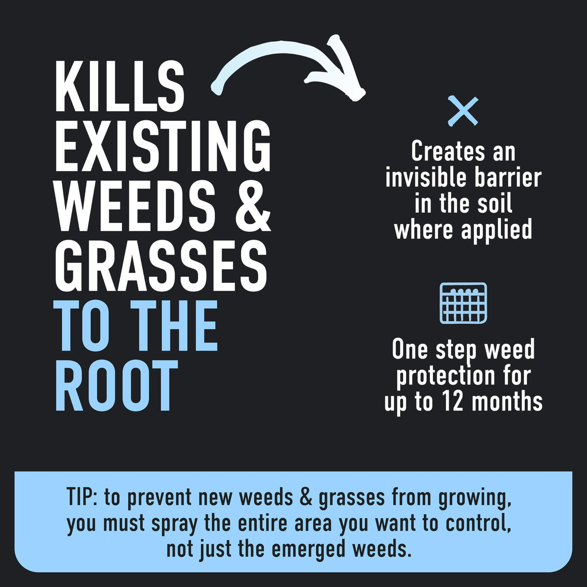 Weed & Grass Killer Plus 12 Month Preventer, 1 gal., Wand (Pack of 4) V70034