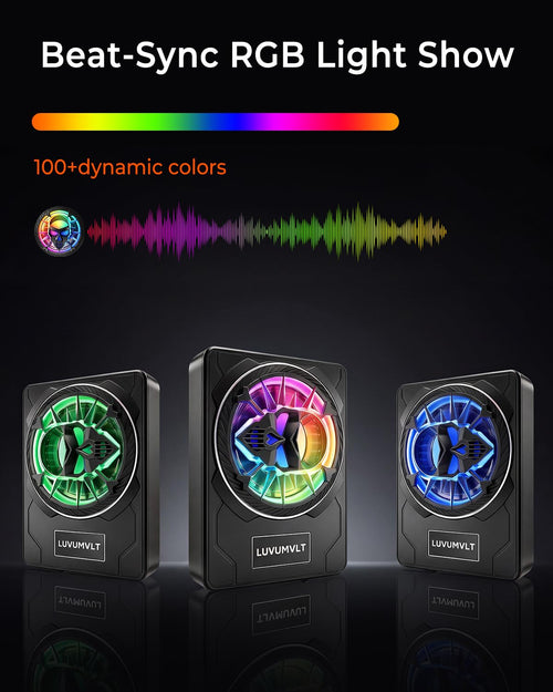 1200W 10" Slim Under Seat Car Subwoofer with Built-in Amplifier T9741