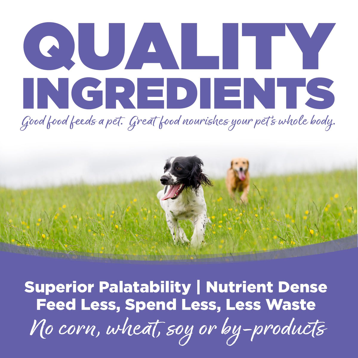 Small & Medium Breed Puppy Dry Dog Food, 4 lb V15330