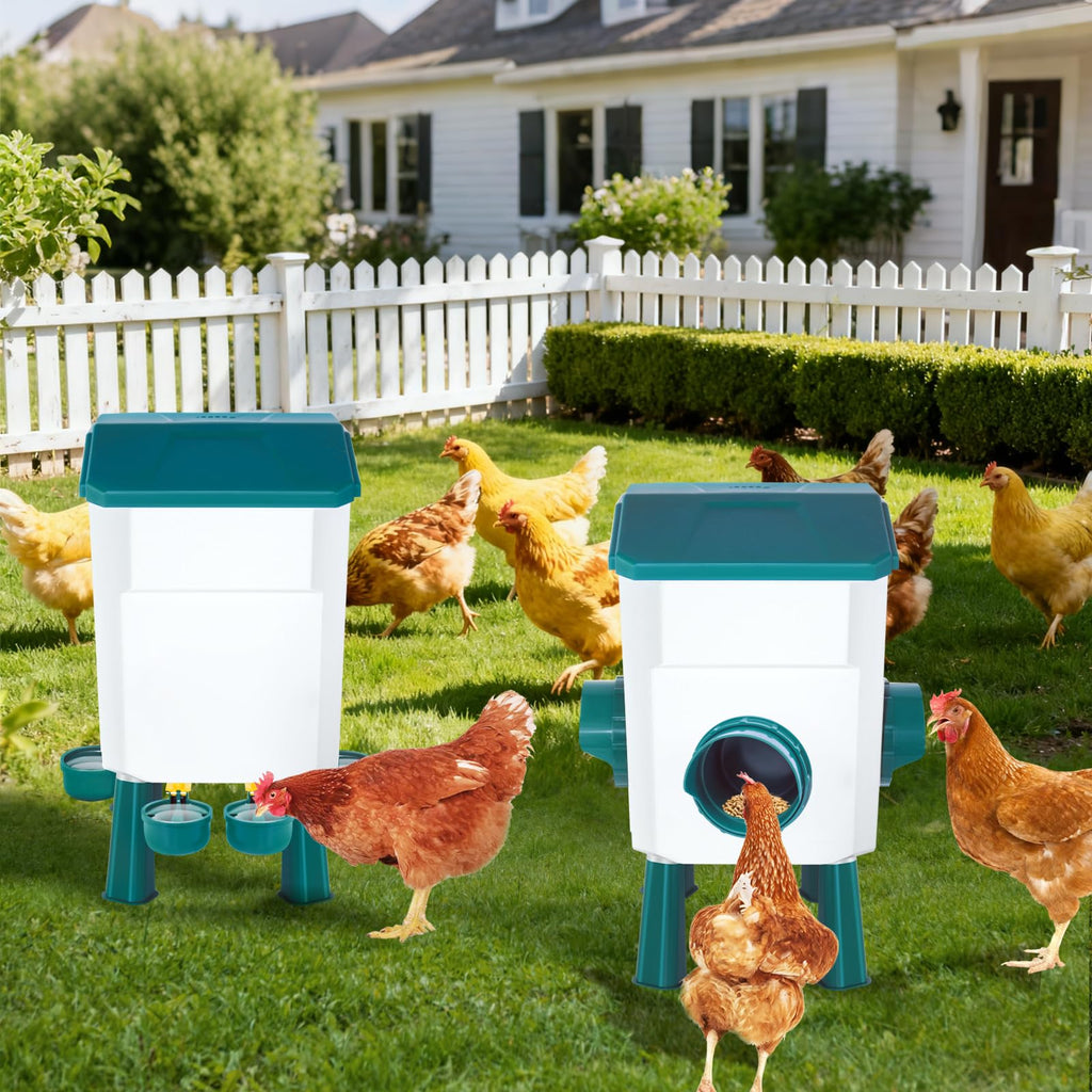 Chicken Feeder and Waterer Set 3 Gallon N8897