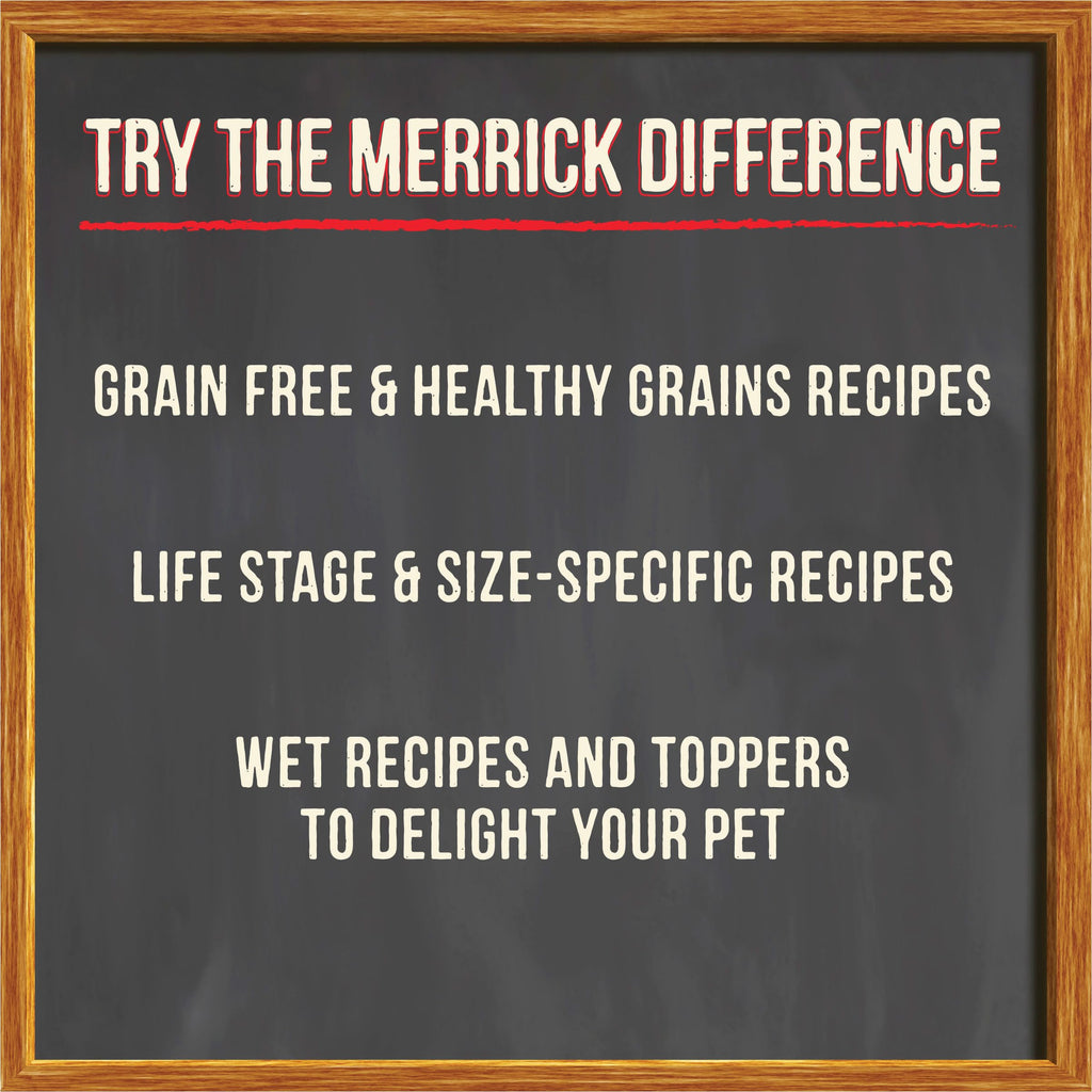 Grain Free Beef Bone Broth Dog and Cat Food Topper 16 oz D712750