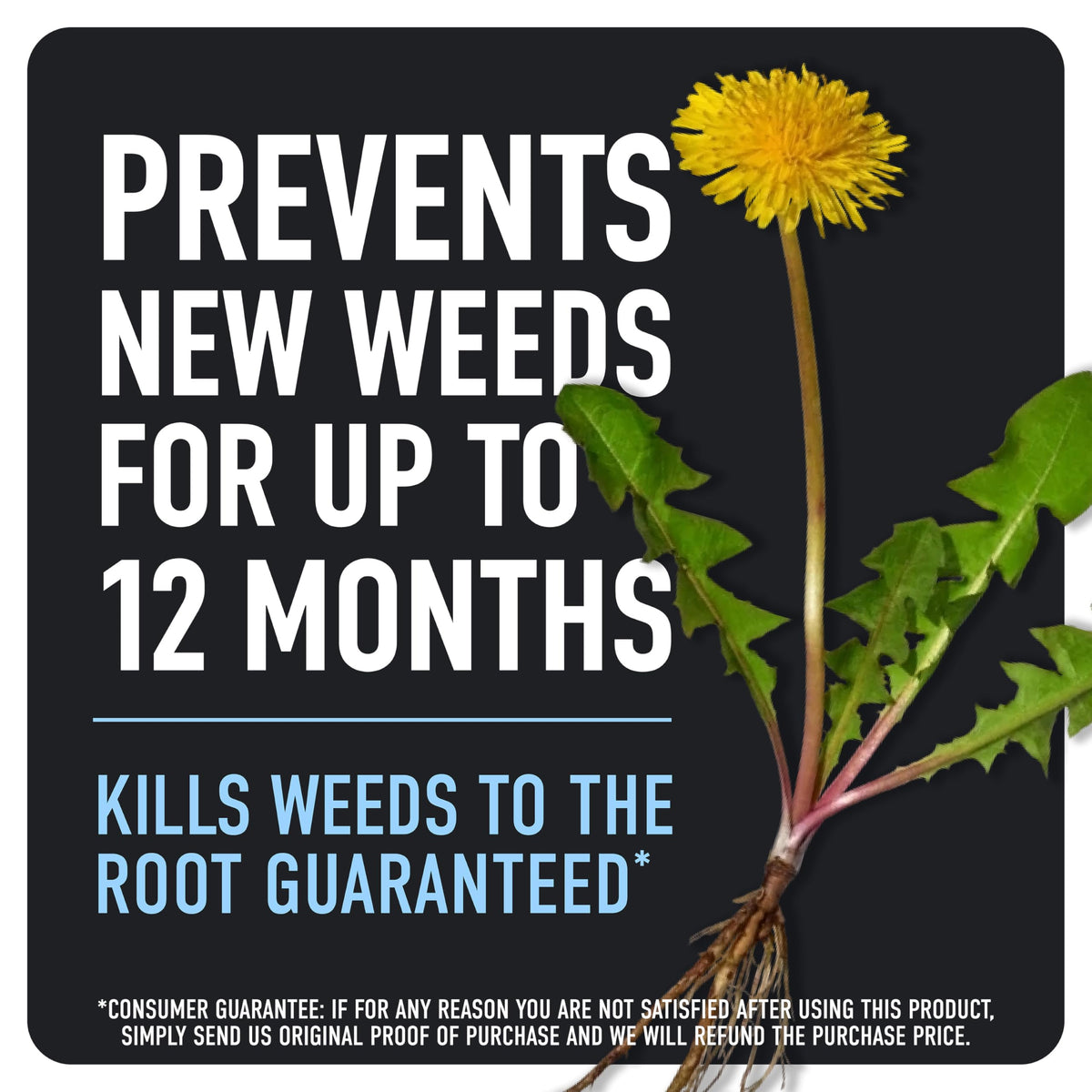 Weed & Grass Killer Plus 12 Month Preventer, 1 gal., Wand (Pack of 4) V70034