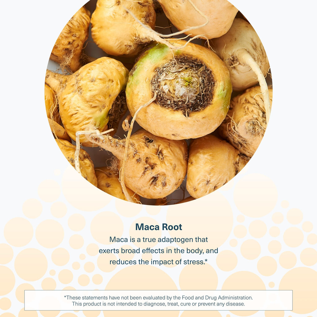 Maca Root 120 Vegetarian Capsules P828