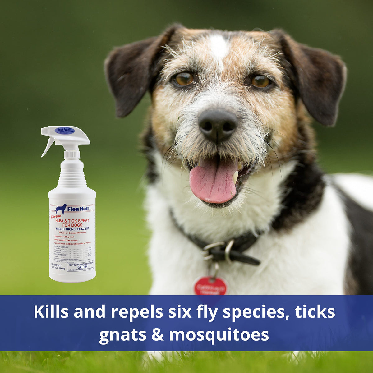 Water-Based Flea & Tick Spray for Dogs, 40 fl oz S28618