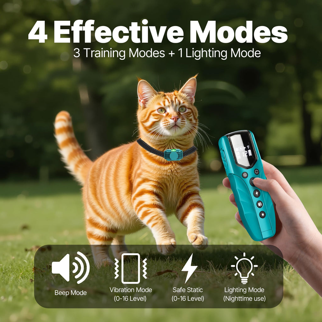 Small Cat Training Collar with Remote D771
