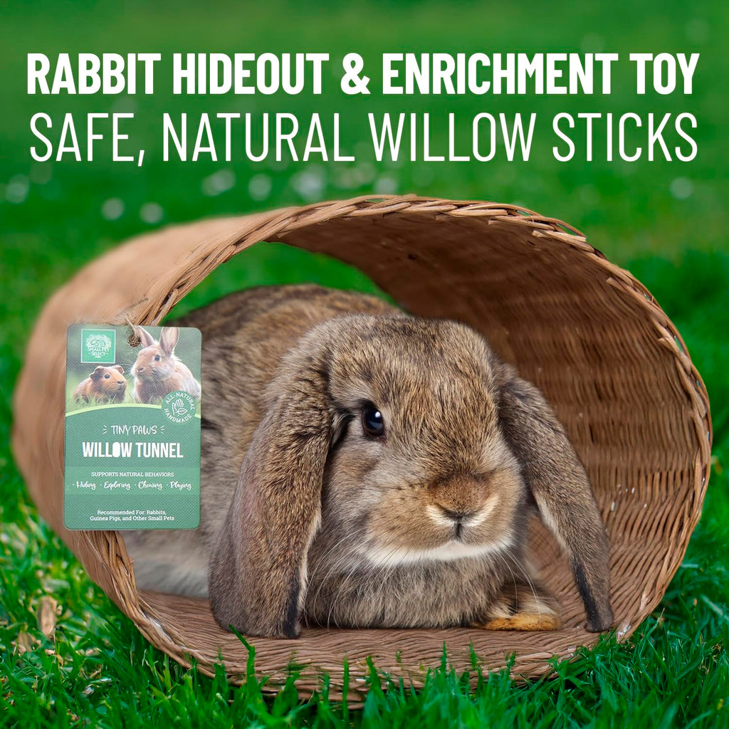 Willow Tunnel R443033