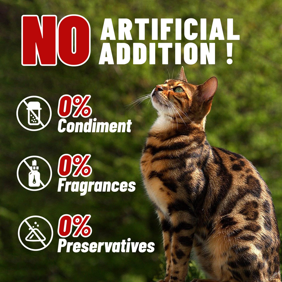 Freeze Dried Chicken Breast Cat & Dog Treats B91248
