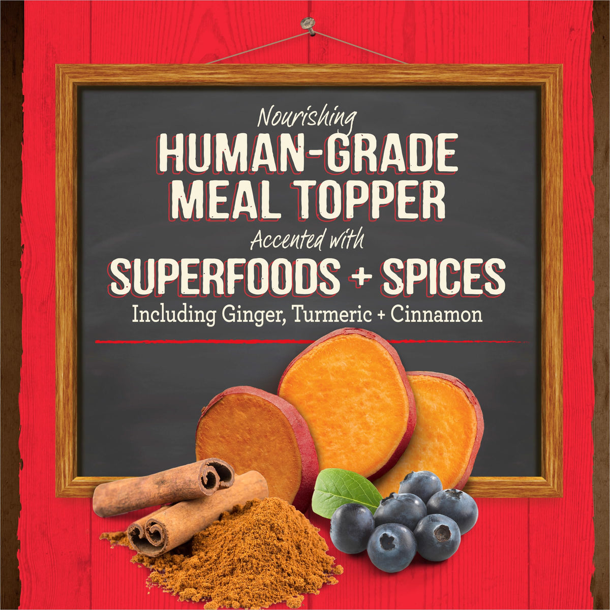 Grain Free Beef Bone Broth Dog and Cat Food Topper 16 oz D712750
