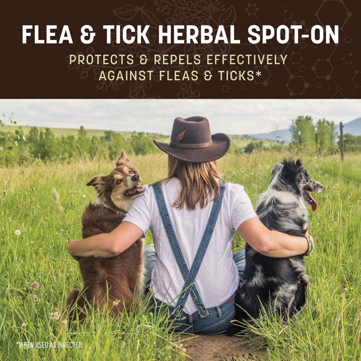 Herbal Spot-On for Medium Dogs L312708